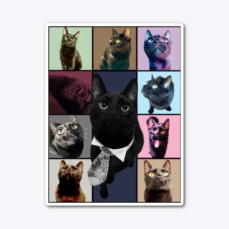 Cattastic Collage